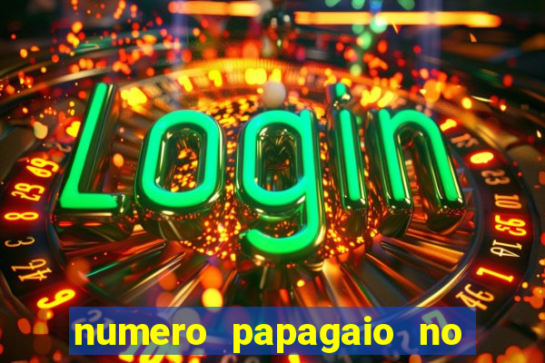 numero papagaio no jogo do bicho